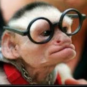 Meet your Posher, Zachary